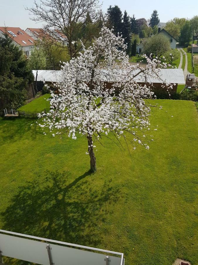 Apartment Near Frankfurt, Fantastic View! Usingen Ngoại thất bức ảnh